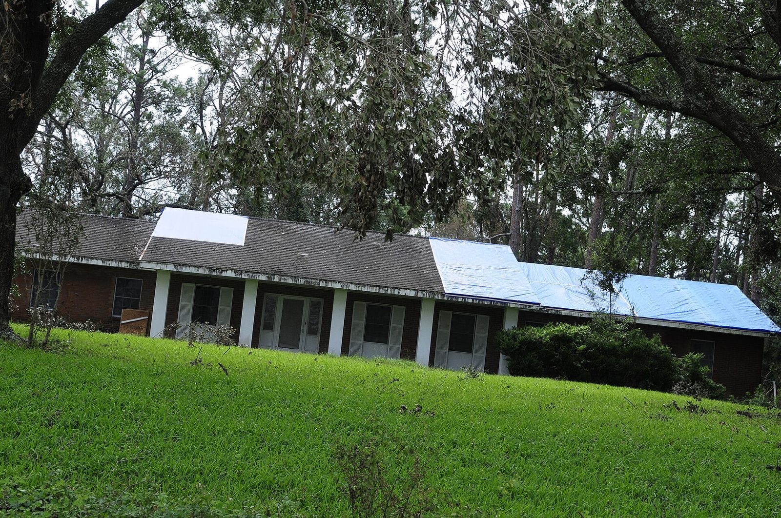 Shingle roof with wind and hail damage before repair