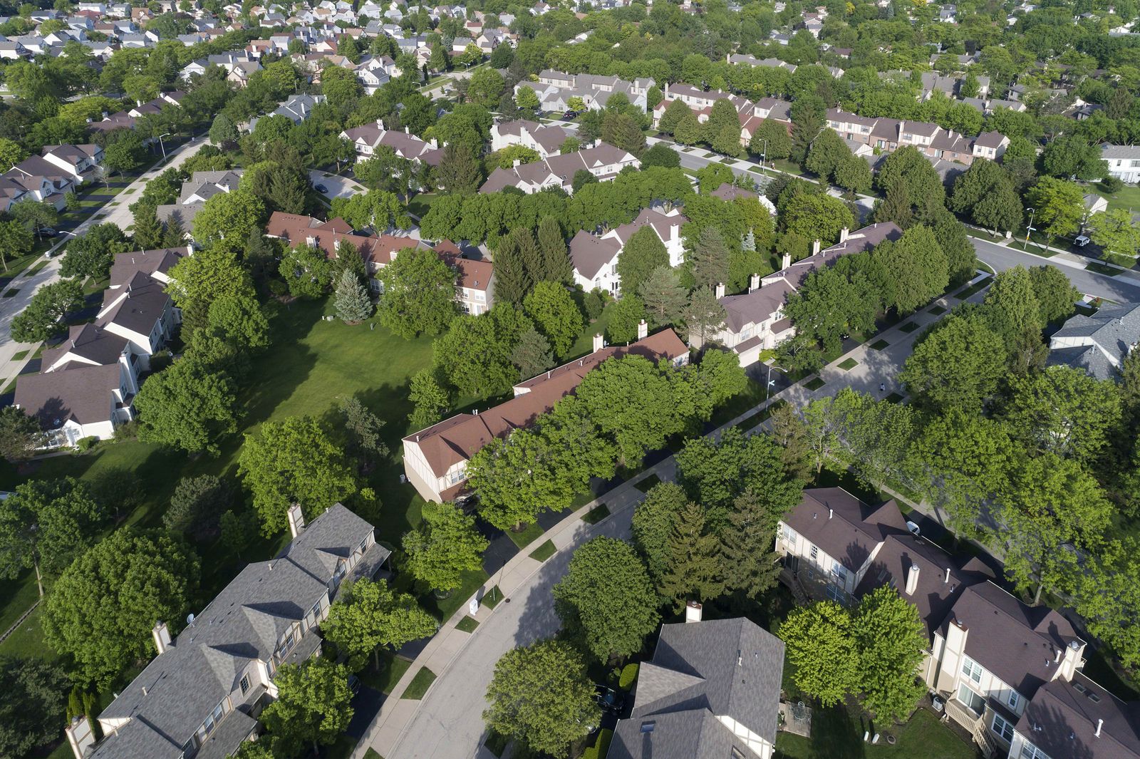 Townhouse row with a new shingle roof